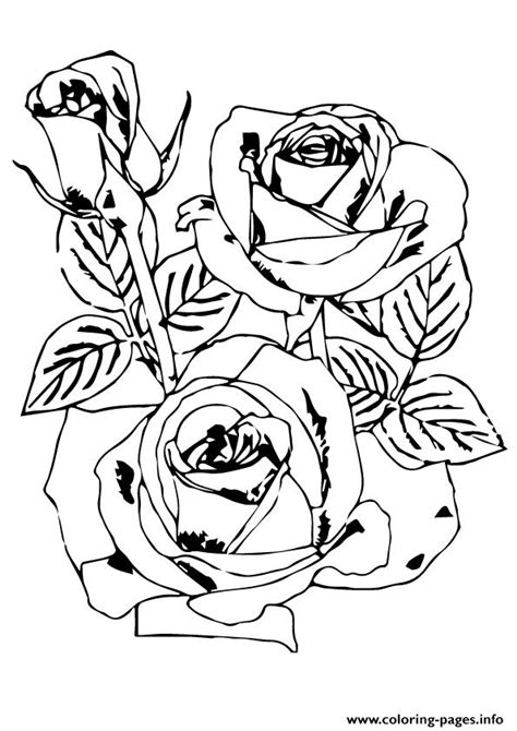 Rose Flowers A4 Coloring Page Printable