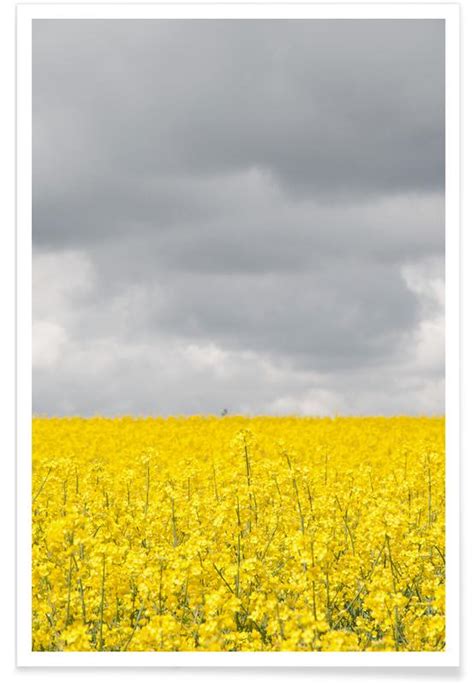 Grey Sky Meets Yellow Fields Poster Juniqe
