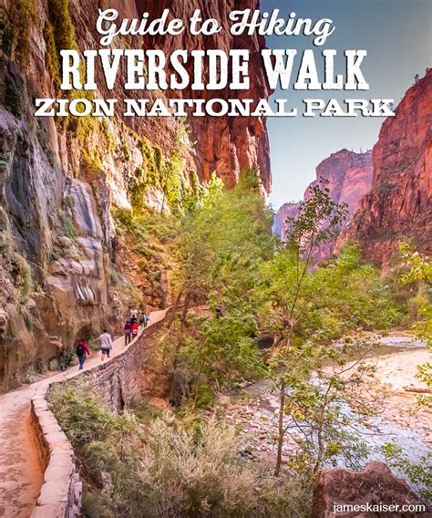 Exploring Riverside Walk Insider Guide Zion National Park