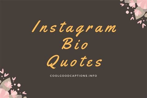 Good Quotes For Your Instagram Bio Good Quotes For Instagram Bio