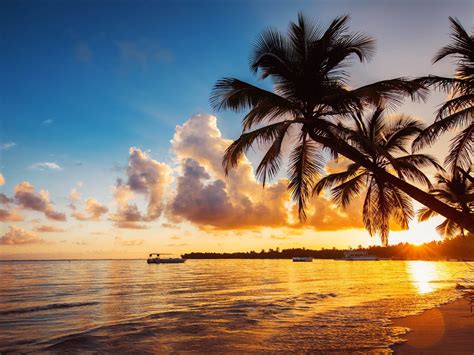 Tropical Beach Punta Cana Dominica Dominican Republic Palm Trees Ocean