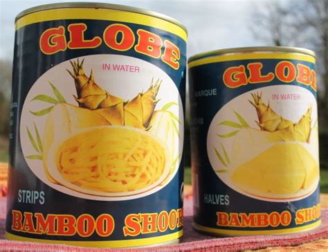 Recette pousse de bambou en conserve
