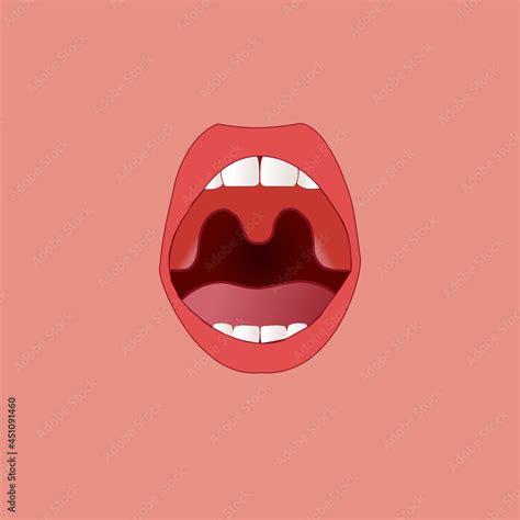 Vector Healthy Human Tonsils Close Up Front View Tonsils Lips Teeth