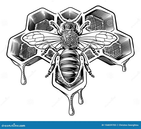 Bee Honeycomb Dripping With Honey Vintage Style Vector Illustration Cartoondealer