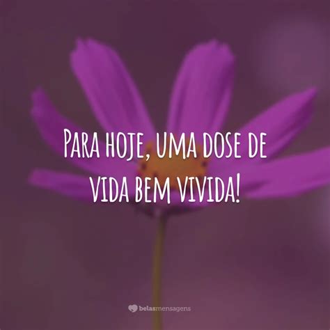 Frase De Bem Com A Vida