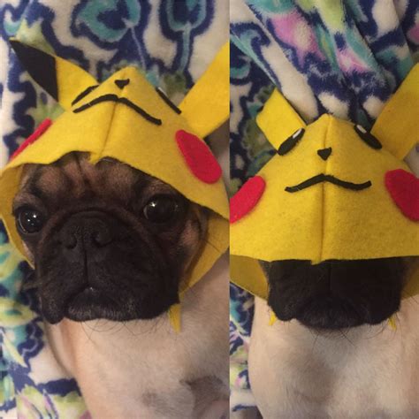 Pikachu Dog Costume Etsy Made To Order Fauxpawsaccessories