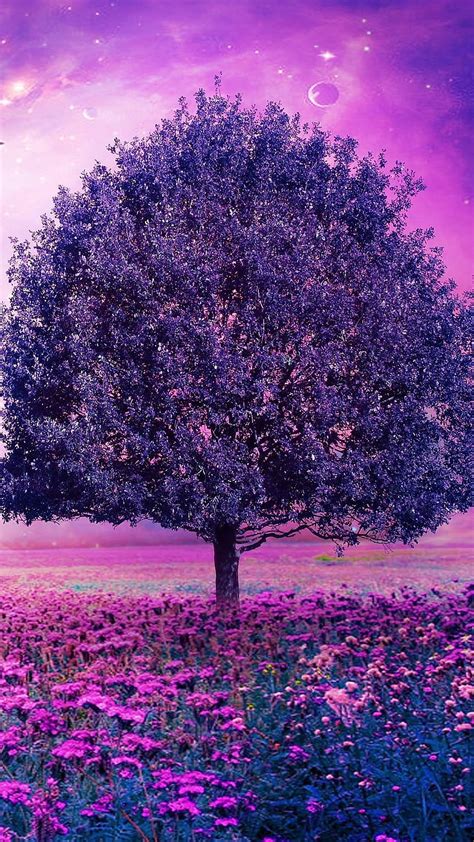 Purple Flowers Purple Forest Hd Phone Wallpaper Pxfuel
