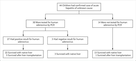 Clinical Spectrum Of Children With Acute Hepatitis Of Unknown Cause Nejm