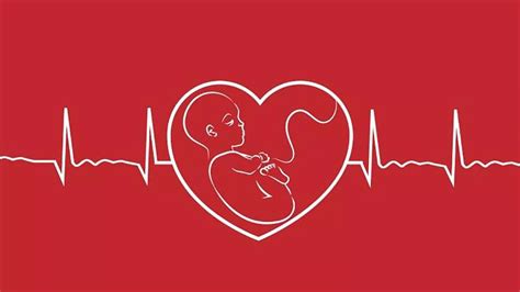 Cardiopatías Congénitas Qué Son Causas Síntomas E Información