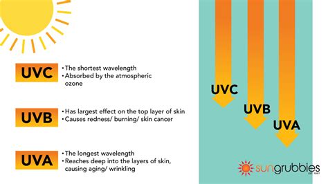 Difference Between Uva And Uvb What You Need To Know Sungrubbies