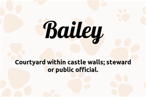 Bailey 🐶 Dog Name Meaning And Popularity