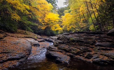 16 Of The Most Beautiful Spots To See Fall Foliage In The Laurel Highlands Uncovering Pa
