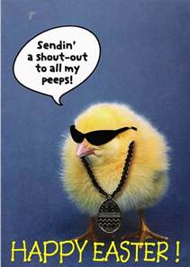 Pinterest Funny Easter Quotes Quotesgram
