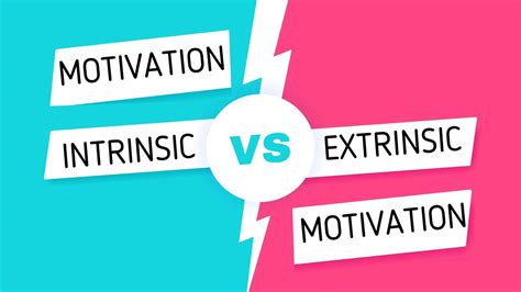 What Is The Difference Between Intrinsic And Extrinsi Vrogue Co