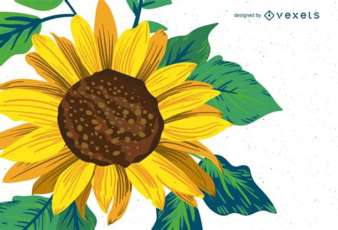 Free Free 193 Sunflower Drawing Svg SVG PNG EPS DXF File