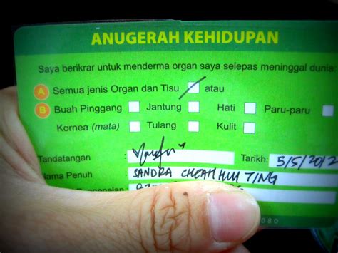 We did not find results for: How To Register On DermaOrgan Online To Donate Organs In M'sia