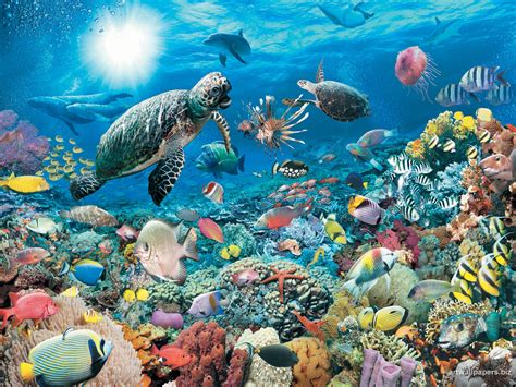 49 Free Animated Underwater Wallpaper On Wallpapersafari