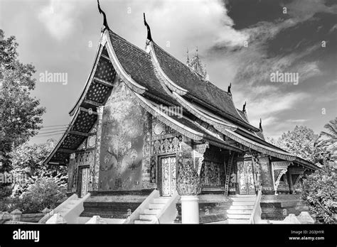 Black And White Picture Of Wat Xieng Thong Buddhist Temple Of The