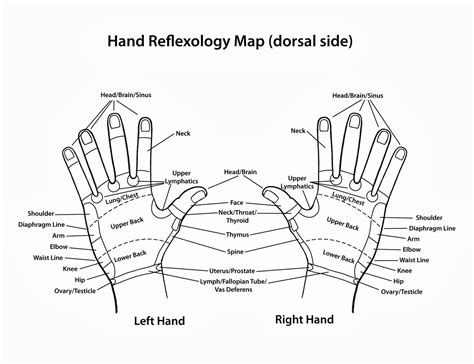 Hand Reflexology Chart Reflexology Chart Hand Therapy Acupressure Points Uterus Sinusitis