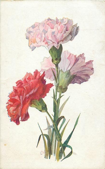 Three Carnations Botanical Drawings Flower Painting Watercolor Art