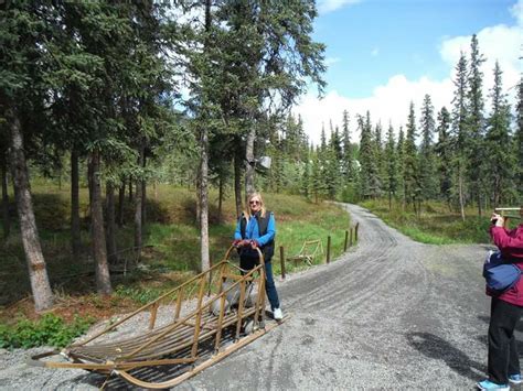 Just before the river, turn right at mile 231.1 parks highway. Denali state park Alaska 6/14 | State parks, Alaska, House ...