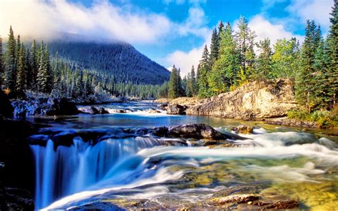 Nature Mountain Dense Spruce Forest River Rock Waterfall