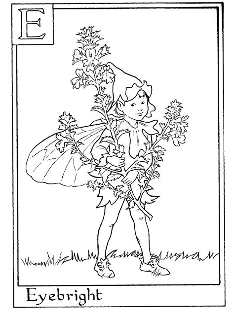 • 15 eps file flowers coloring page. Alphabet flower coloring pages download and print for free