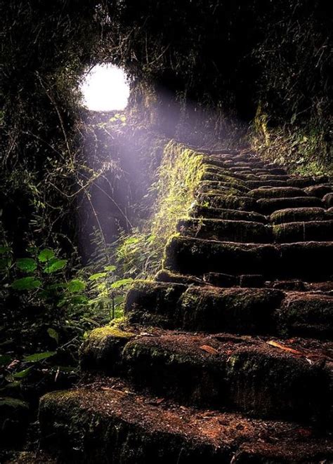 Stairs In The Woods And The Myth Behind It Fresh Land Magazine 2023