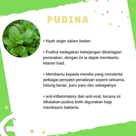 Uses in ayurveda and traditional medicine. Kesan Sampingan Makan Ubat Gastrik - Contoh Kop