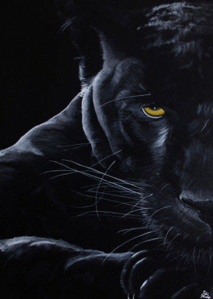 Panther Black Panther Cat Panther Art Animals Images Animals And