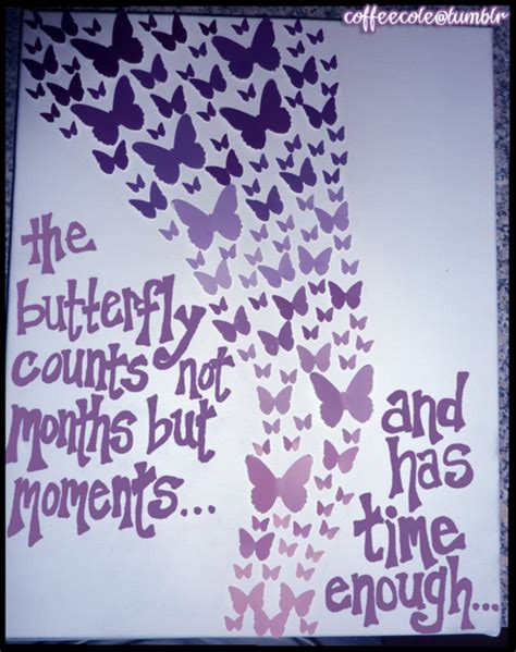 Purple Butterfly Quotes Quotesgram