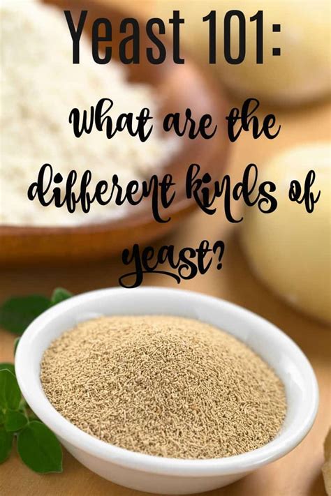 What Are The Different Kinds Of Yeast Boston Girl Bakes