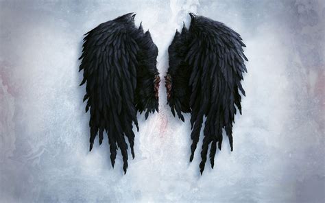 ღ Alas Demonios ღ Fallen Angel Wings Black Angel Wings Feather Angel