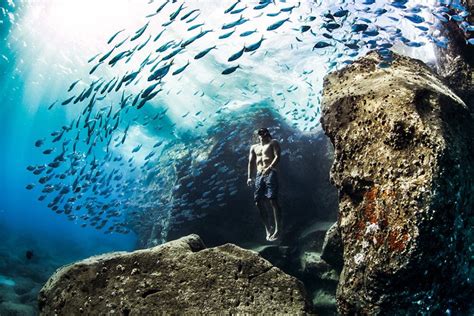 20 Imágenes Ganadoras Del Certamen Internacional De Fotografía De