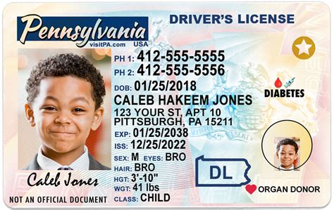 Pennsylvania Kid Driver License For Children Under 12 1 Cute Pooch