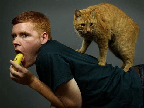 Most Awkward Photos Of Men And Their Cats Funny Awkward Photos