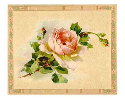 The Graphics Monarch Free Vintage Printable Bundle Flower Tag Designs