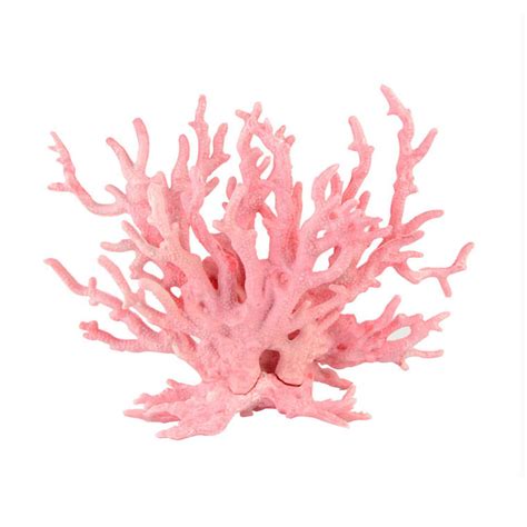 Large Aquatic Landscape Soft Coral Pink