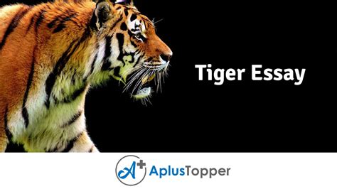 Essay On Tiger Tiger Essay For Students And Children In English