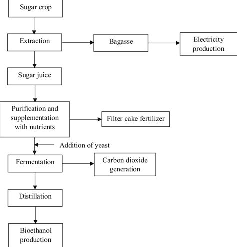 Schematic Representation Of Bioethanol Production From Sugar Based