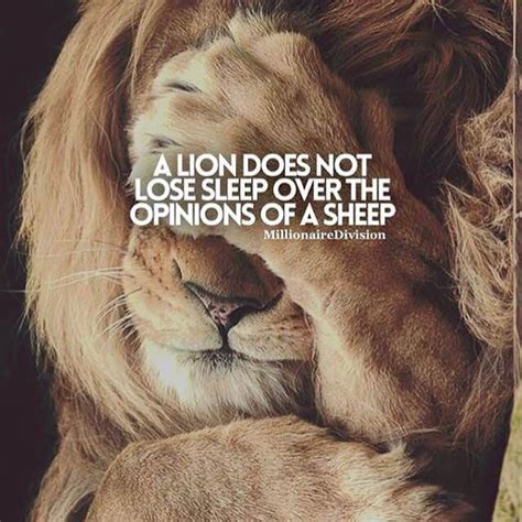 Lion Quotes In Pictures Encouragement Quotes Wisdom Quotes Life