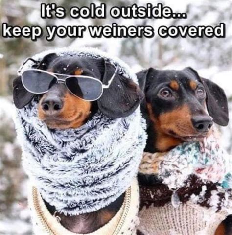 Funny Texas Winter Memes 2023 Cold Weather And No Electric Crusoe