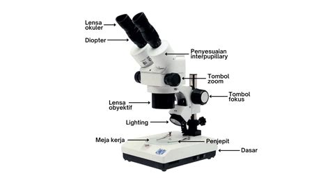 Mengenal Bagian Bagian Mikroskop Dan Fungsinya Vrogue Co