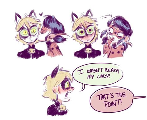 Pin By Andy Edelstein On Miraculous Ladybug And Cat Noir Miraculous
