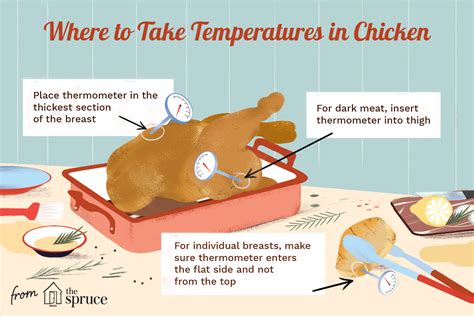 the correct chicken temperature for juicy white and dark meat