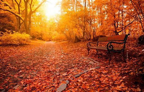 Relaxing Autumn Day Wallpapers - Top Free Relaxing Autumn ...
