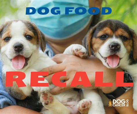 Fda should set maximum levels of inorganic arsenic, lead, cadmium, and mercury permitted in baby foods. Dog Food Recall: Check Your Dates - Dog Cancer Blog