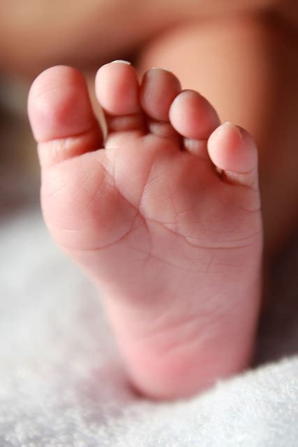 Baby Foot Newborn Leg Free Photo On Pixabay Pixabay