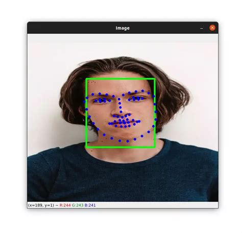 How To Detect Face Landmarks With Dlib Python And OpenCV Don T