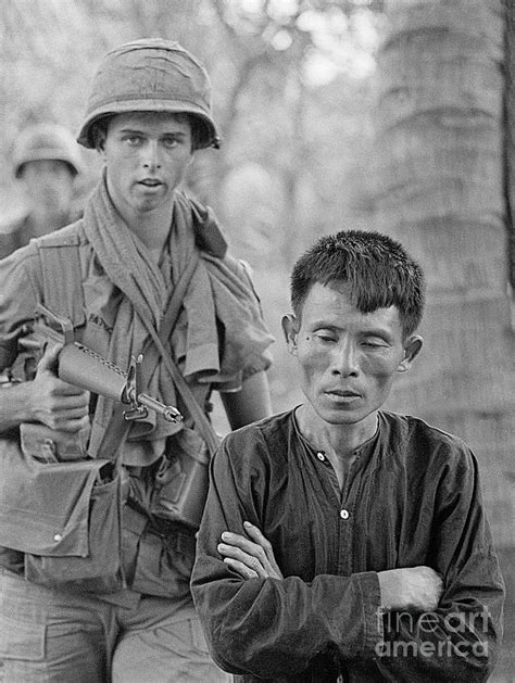 Soldier Leads Viet Cong Away By Bettmann